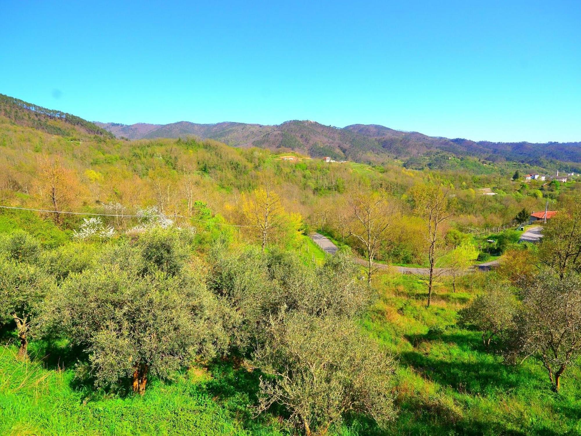 Spacious Home Surrounded By Nature Sesta Godano Buitenkant foto